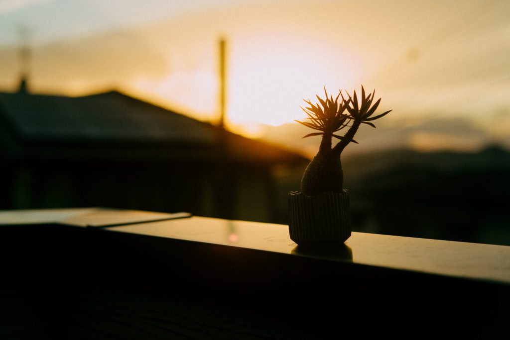 まとめ：まずは週末、光を掴みに行こう