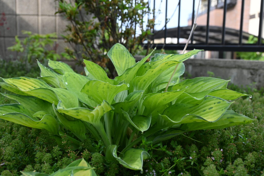 評価が高かったポイント