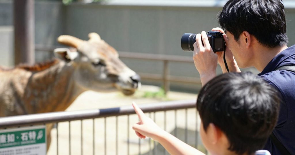 観光地・動物園・遊園地は「高倍率ズーム」があると失敗しにくい