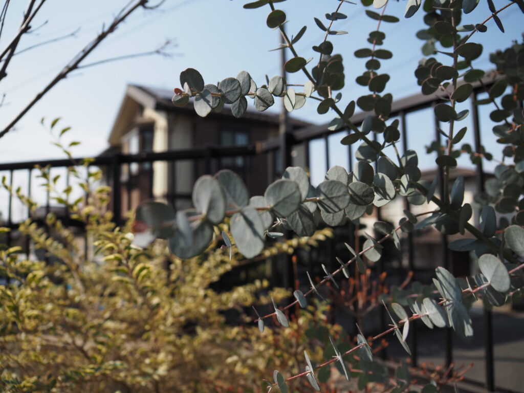 【△】やはり室内のマイクロフォーサーズは立体感が惜しい