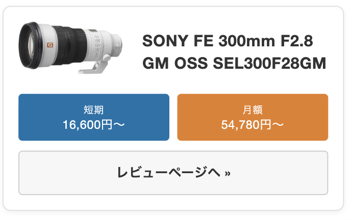 SONY FE 300mm F2.8 GM OSS SEL300F28GM