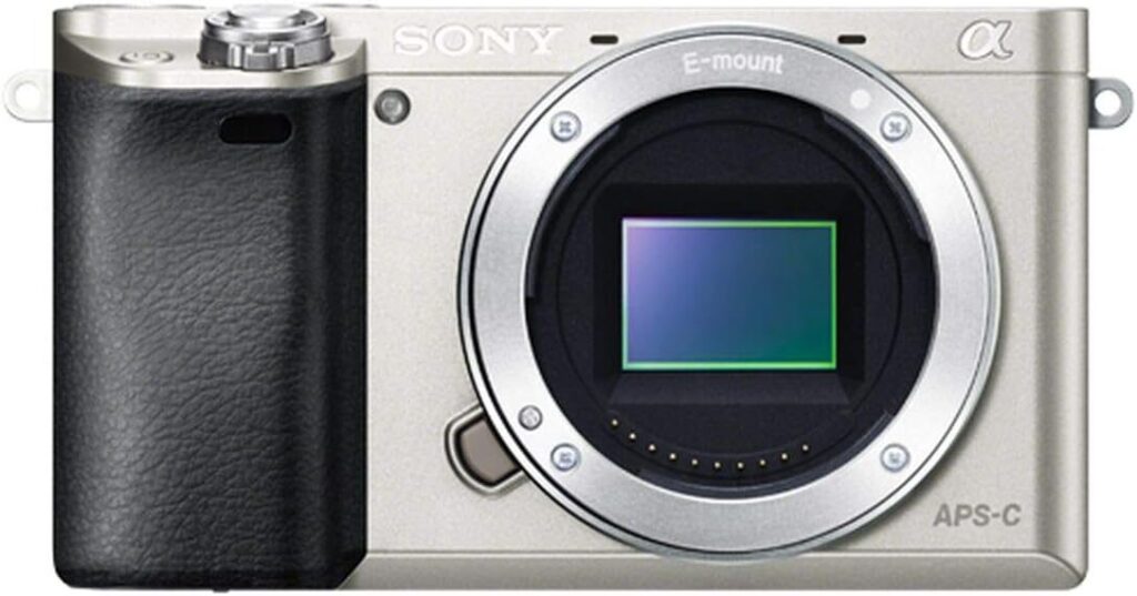 SONY α6000